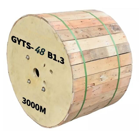 GYTS SM Armored 48 Core καλώδιο οπτικών ινών εξωτερικού χώρου 9/125u για τηλεπικοινωνιακή επικοινωνία